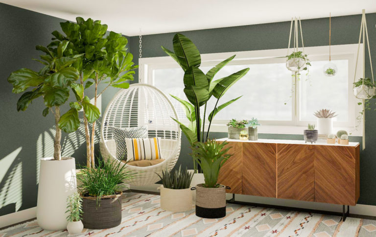 Rent Faux Plants for Decorating a Day Wedding/Balcony/Sitting Area ...
